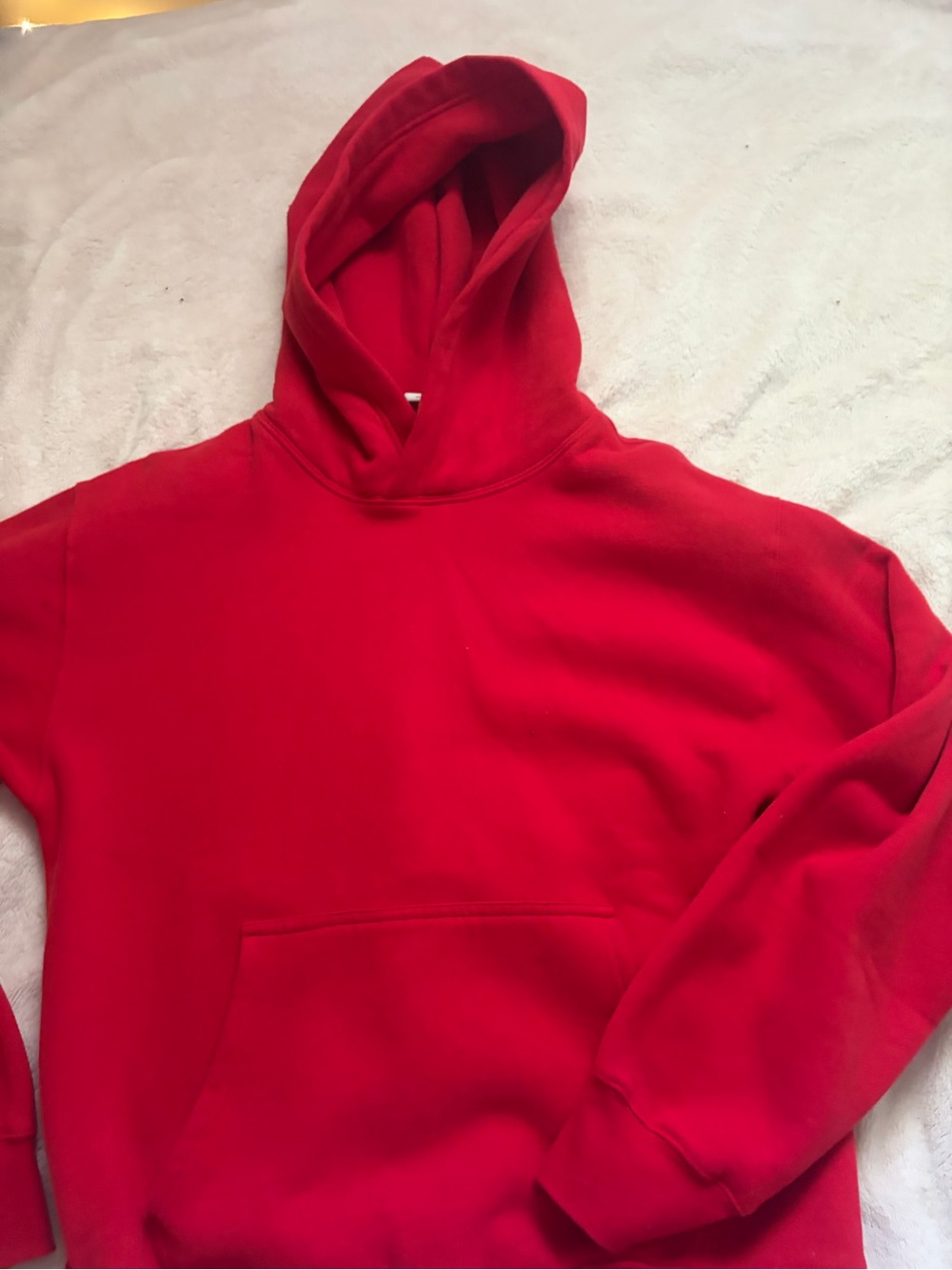 Aritzia hoodie